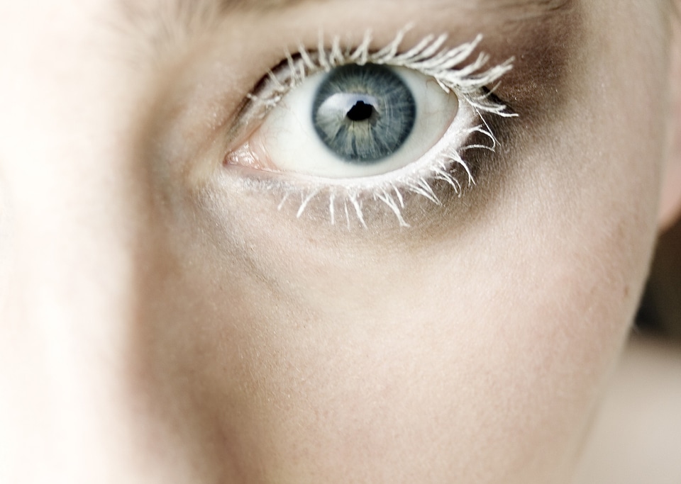 Cosmetics eye eyelashes