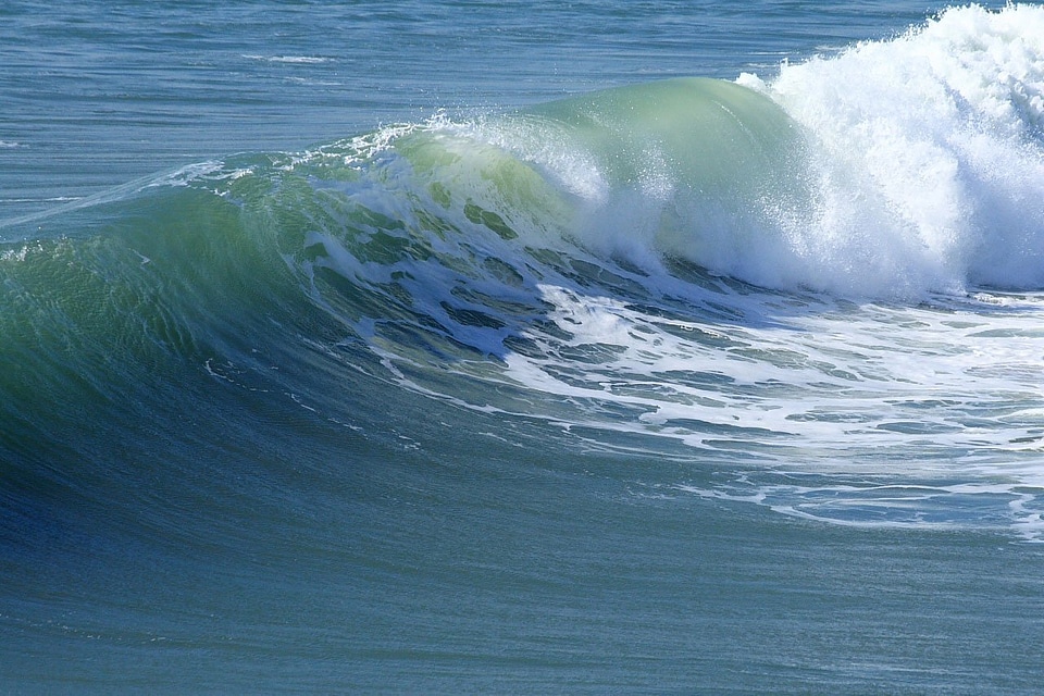 Beach sea curl photo