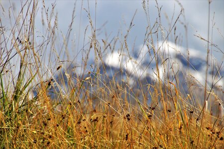 The alps landscape mountains photo