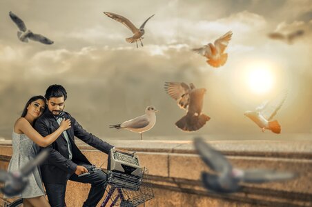 Birds bike brown bike