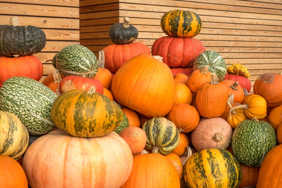 Yellow gourd decoration