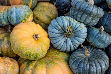 Yellow gourd decoration