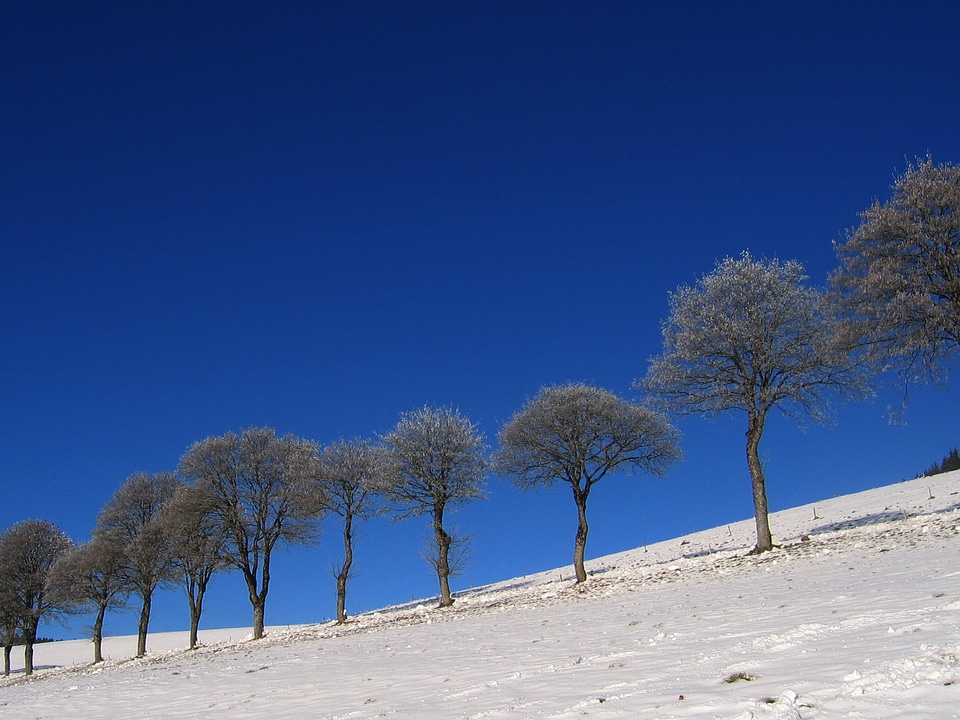 Snow winter meadow