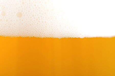 Beer drink