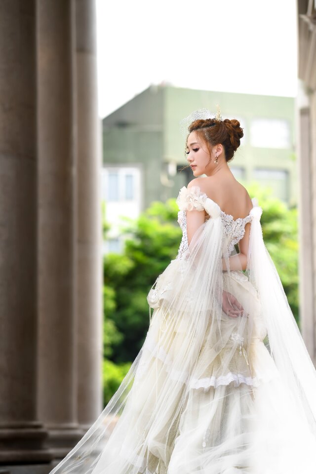 Bride wedding dress