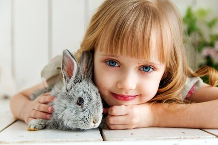 Child girl rabbit photo