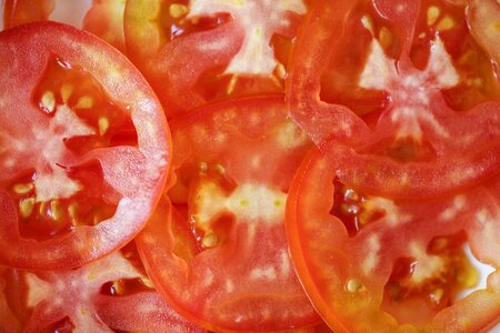 Tomato vegetable