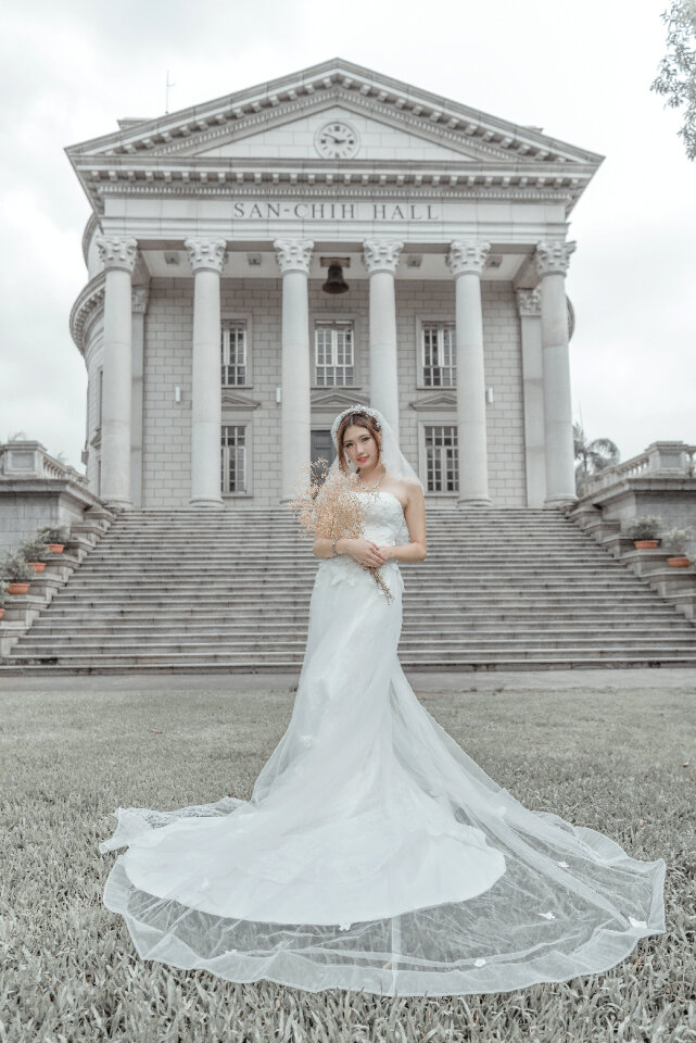 Bride wedding dress