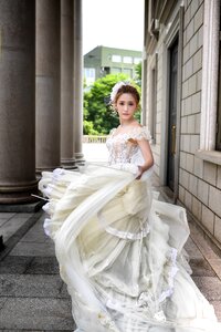 Bride wedding dress