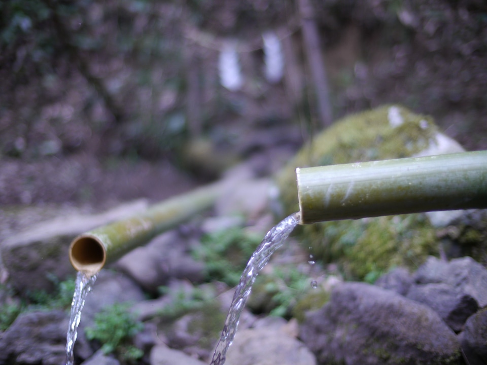 Water bamboo god