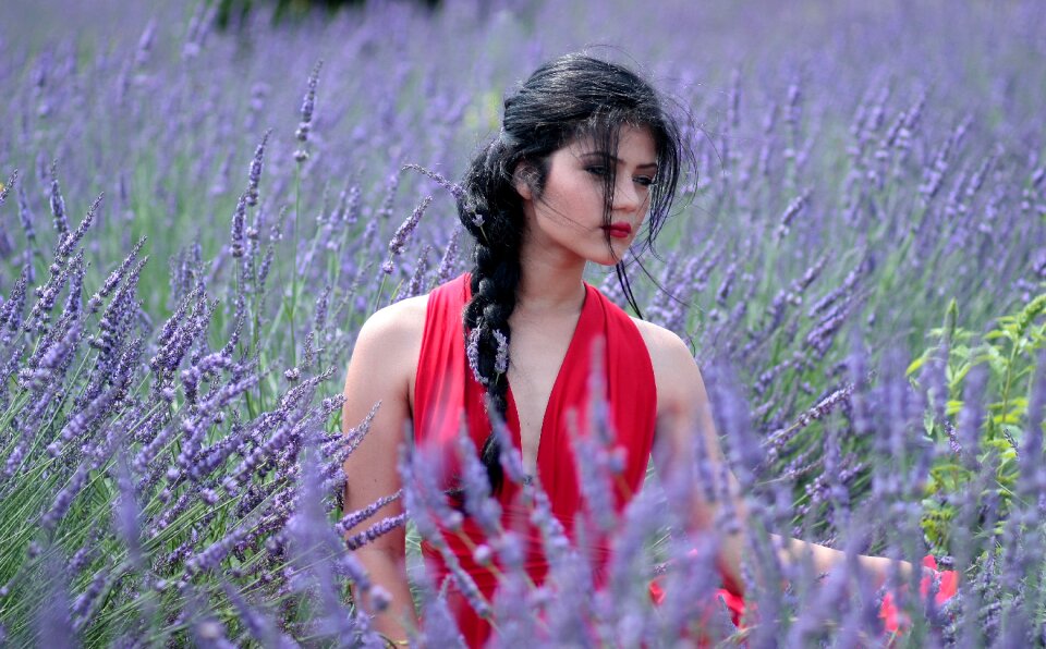 Woman girl portrait lavender photo