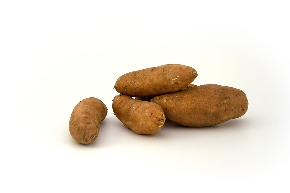 Potato potatoes vegetable
