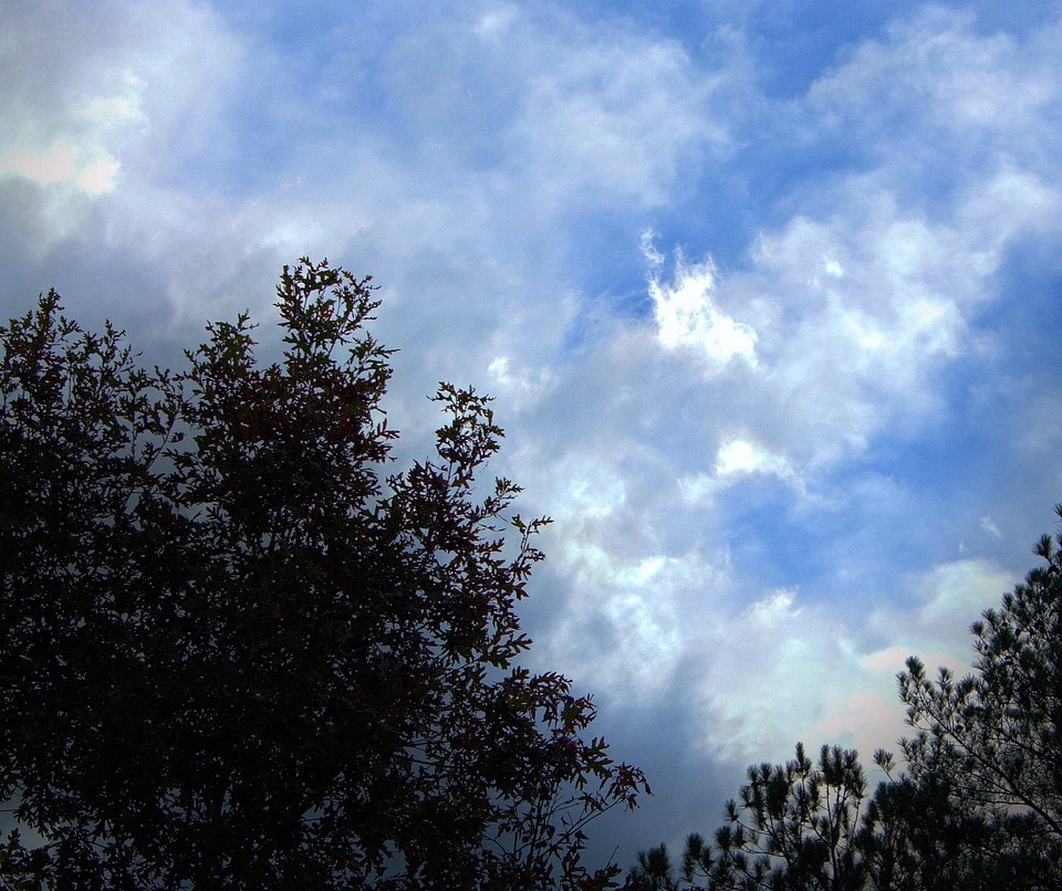 Cloudy billowing nebula