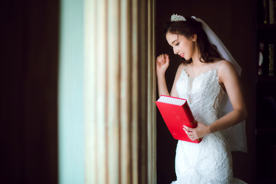 Bride wedding dress