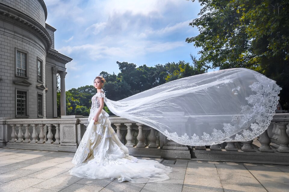 Bride wedding dress