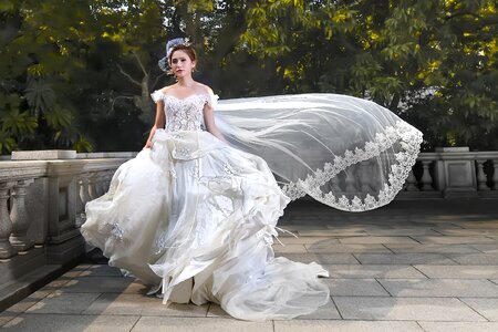 Bride wedding dress