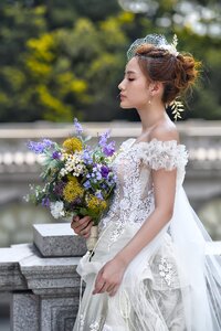 Bride wedding dress
