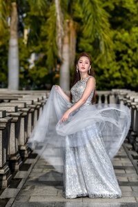 Bride wedding dress