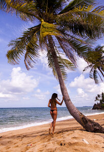 Beach palm tree girl photo