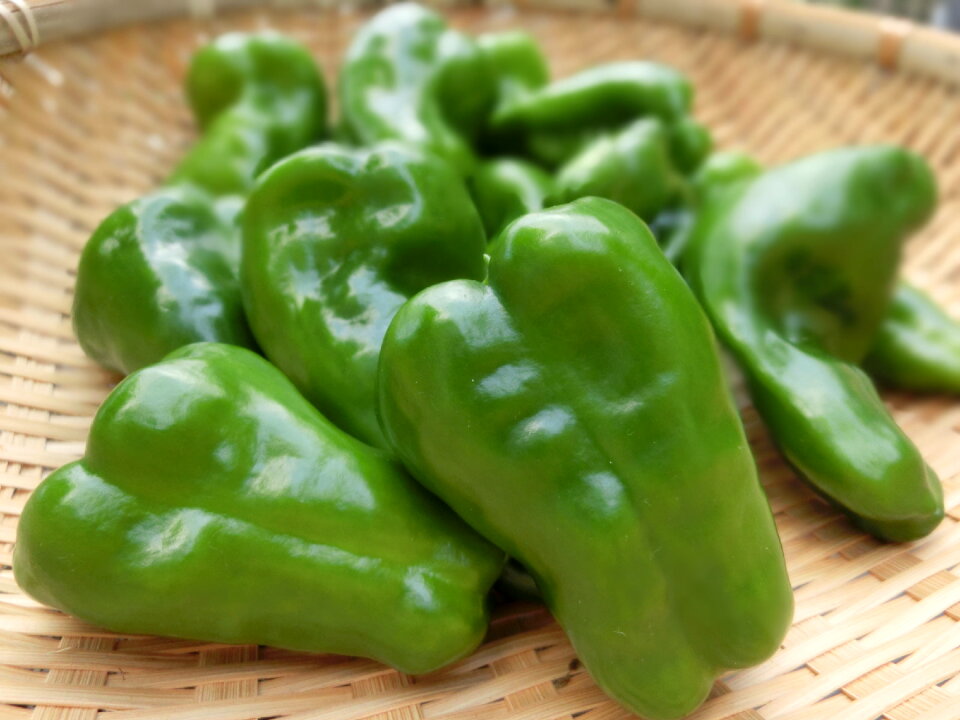 Bell pepper vegetable