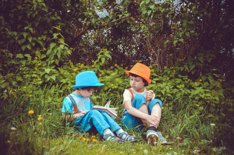 Brothers reading book