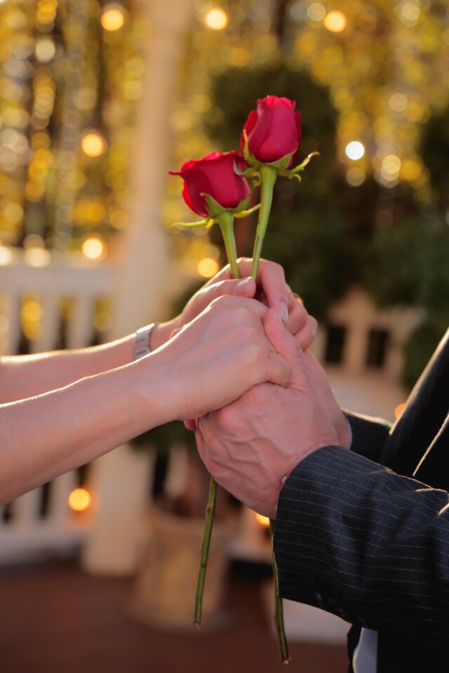Couple hands rose