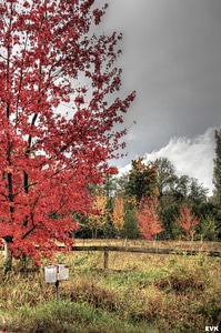 Landscape scenery natural