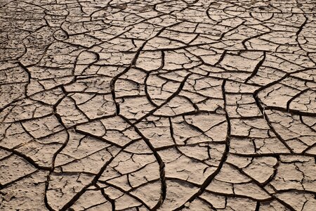 Cracked soil