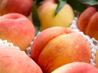 Food fruit peach photo