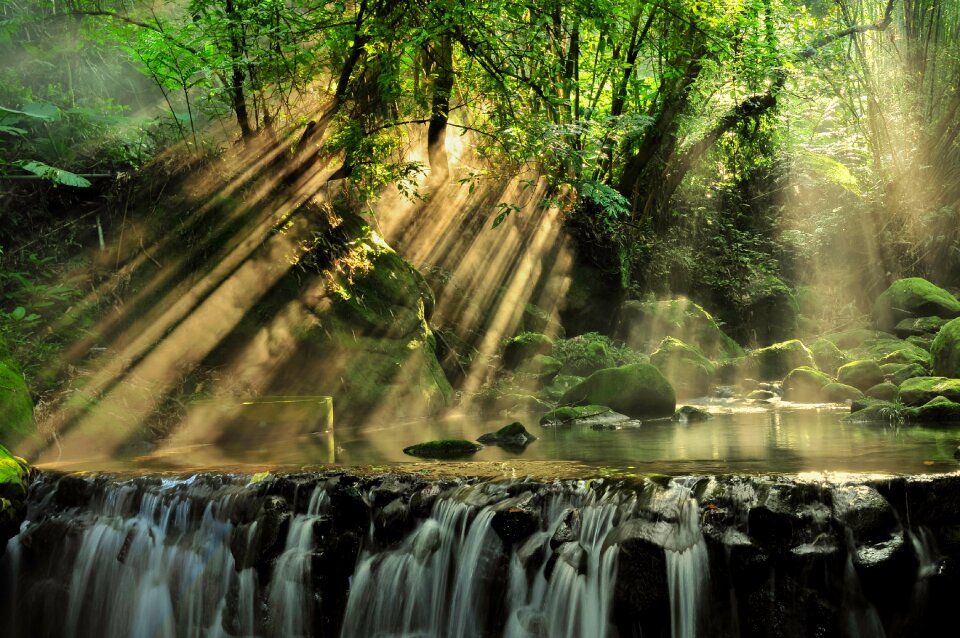 Forest sunbeam river photo