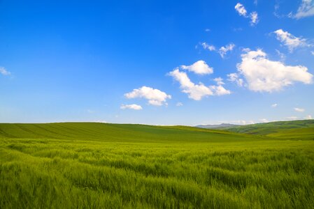Grassland landscape