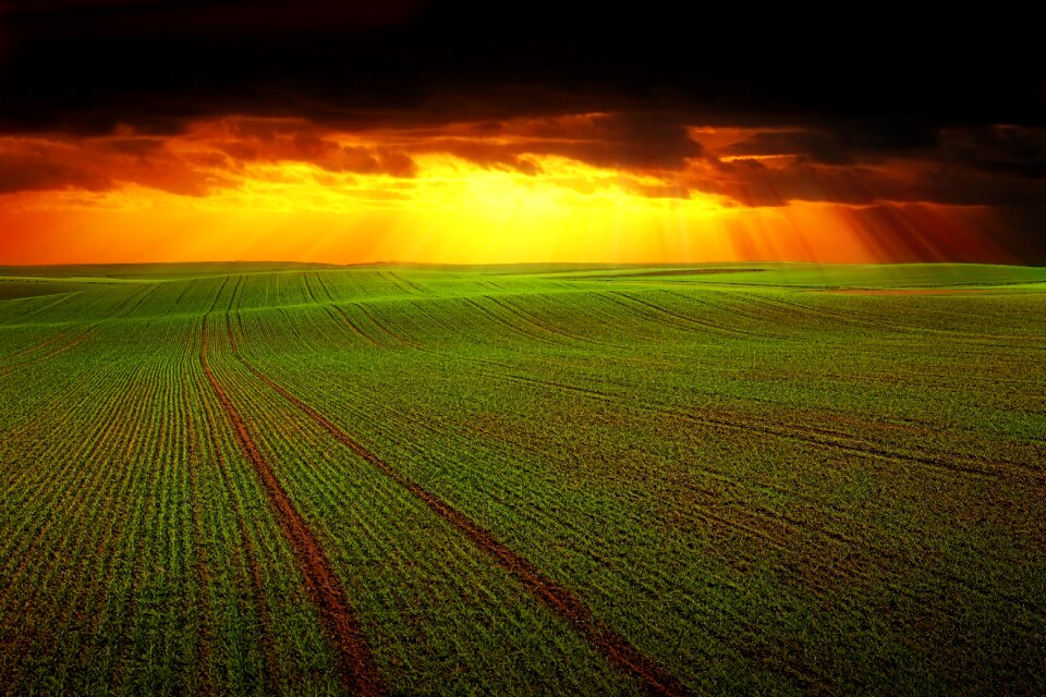 Grassland sunset sunbeam
