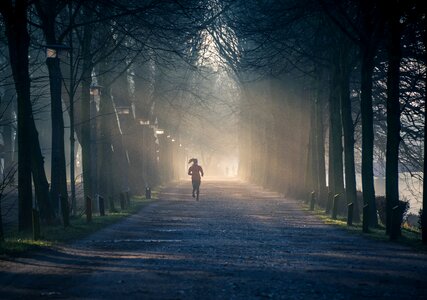 Morning avenue jogging