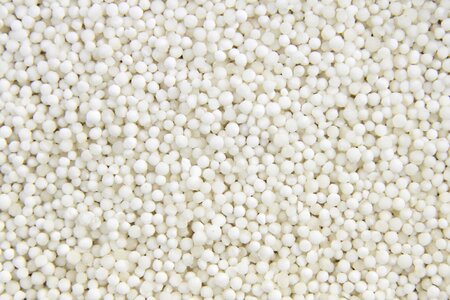 Pearl tapioca