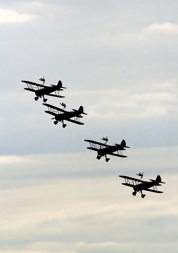 Flying silhouette aviation