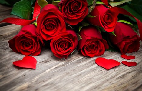 Red rose heart