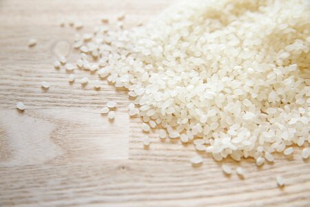 Rice food