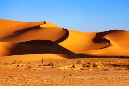 Sahara desert sand dunes photo