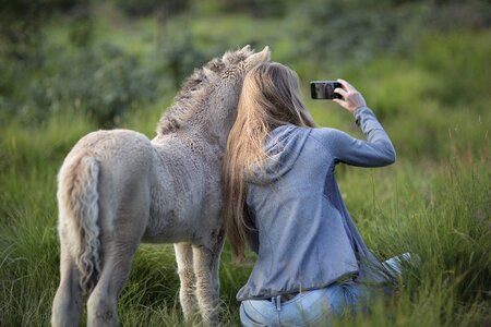 Smartphone taking picture pony