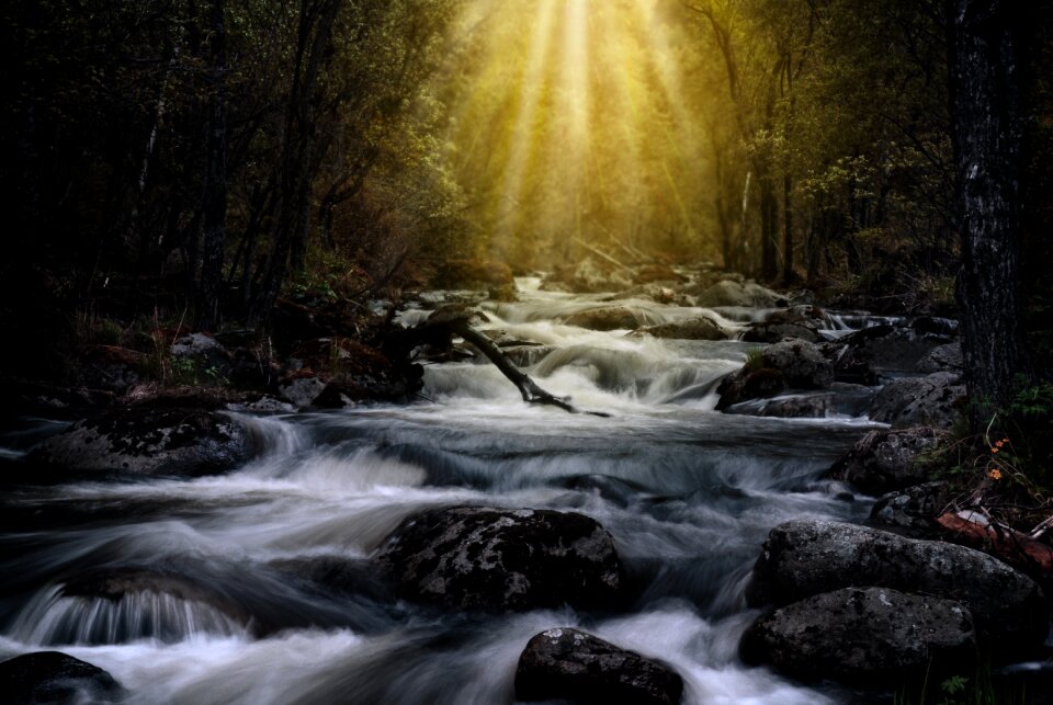Stream river sunbeam