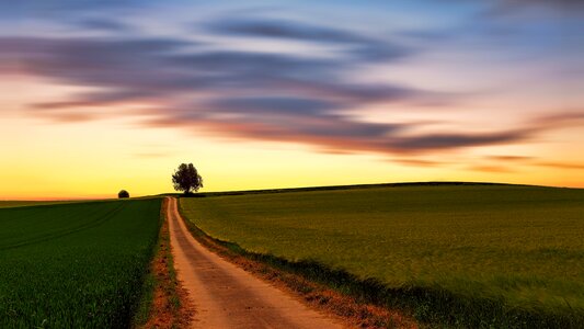 Sunset field road photo