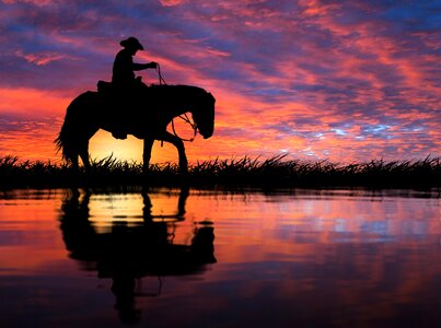 Sunset horse riding