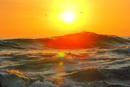 Sunset sea wave