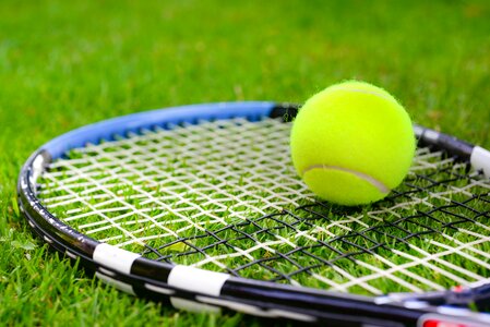Tennis racket ball sports photo