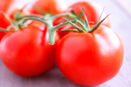 Tomato vegetable