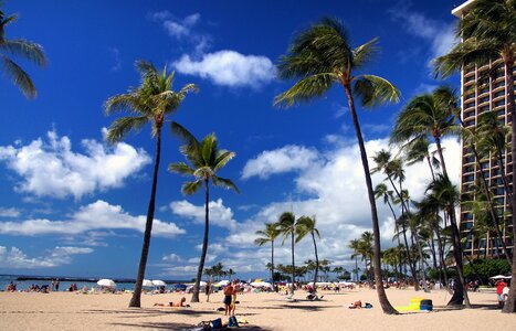 Waikiki beach hawaii photo