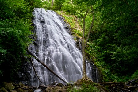 Waterfall forest photo