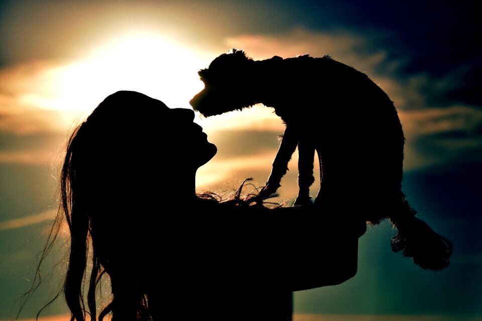 Woman dog silhouette