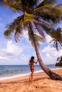 Woman girl beach palm tree