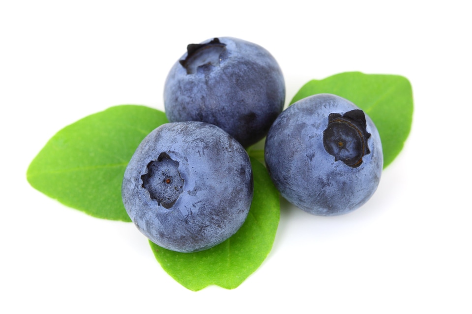 Food fresh fruit